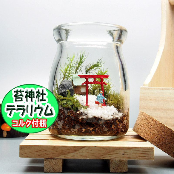 苔神社【苔テラリウム・手作りキット一式】コルク付きビン