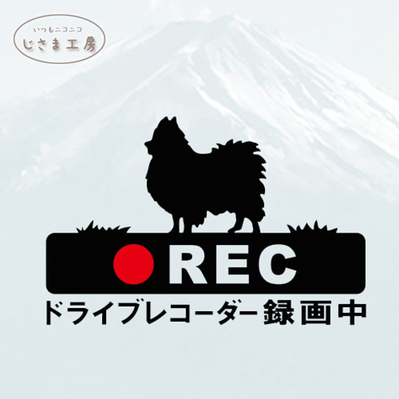 ポメラニアンの黒色シルエットステッカー煽り運転防止!!ドライブレコーダー録画中