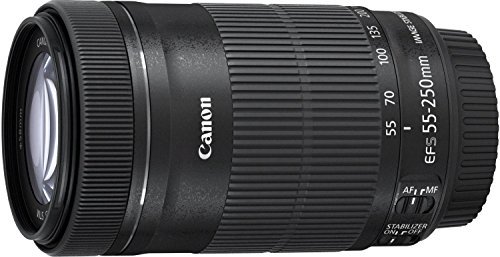 Canon 望遠ズームレンズ EF-S55-250mm F4-5.6 IS STM APS-C対応 EF-S55-250ISSTM【中古品】