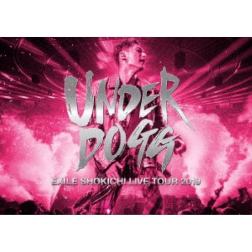 【DVD】EXILE SHOKICHI LIVE TOUR 2019 UNDERDOGG