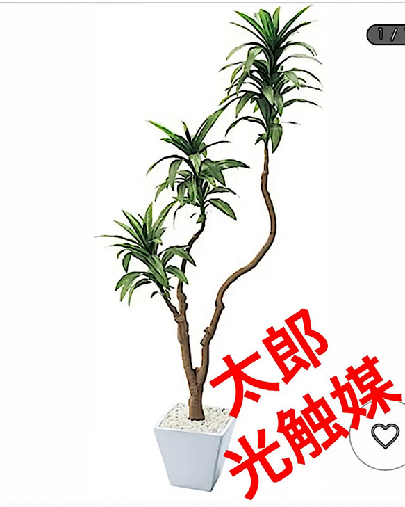 光触媒人工観葉植物ウォールグリーンフェイクフラワーハンドメイド　ドラセナコンパクト