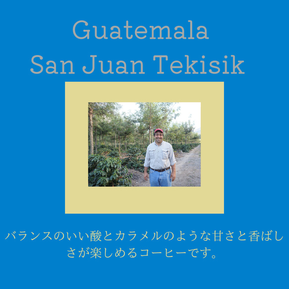 送料無料で届く新鮮な自家焙煎コーヒー豆｜グアテマラ サンファン農園 テキシク｜300g｜中深煎り