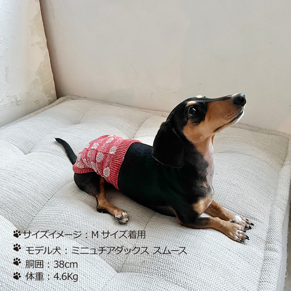 シルクメランジ ワンちゃん(超/小型犬)用 ロングタイプ腹巻き ★水玉柄  S/Mサイズ