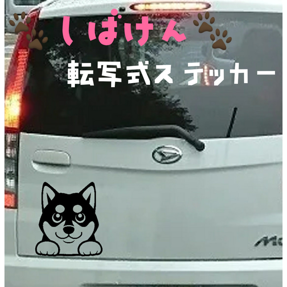 柴犬　 転写式ステッカー