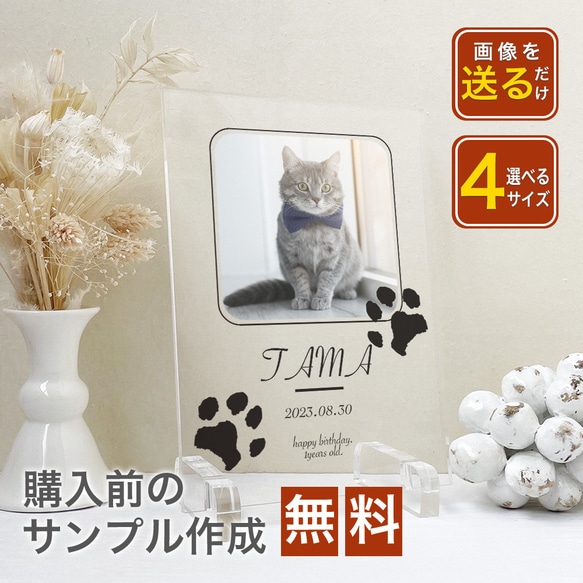 A50 ペットデザイン　ペット用 足形 スタンプ キット 犬 猫 足型 肉球スタンプ 足形作成キット にくきゅう　足あと