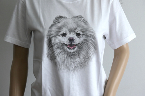 ★アニマルTシャツ★犬Tシャツ ポメラニアン　D9　サイズS