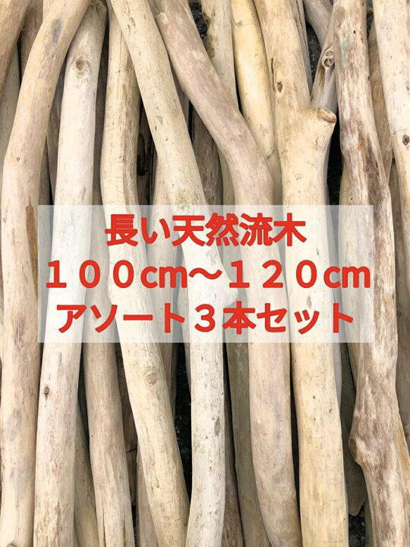 送料無料●（１００cm〜１２０cm前後）南信州産 枝幹 長い流木 天然流木 格安アソート ３本セット 流木インテリア