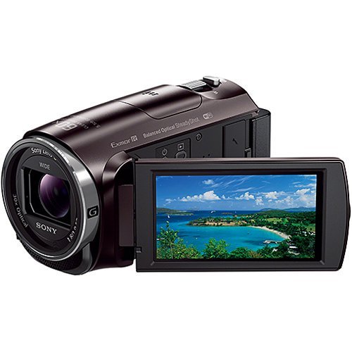 SONY HDビデオカメラ Handycam HDR-CX670 ボルドーブラウン 光学30倍 HDR-CX670-T【中古品】