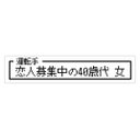 ゲーム風 ドット文字 恋人募集中40歳代 女 カー マグネットステッカー