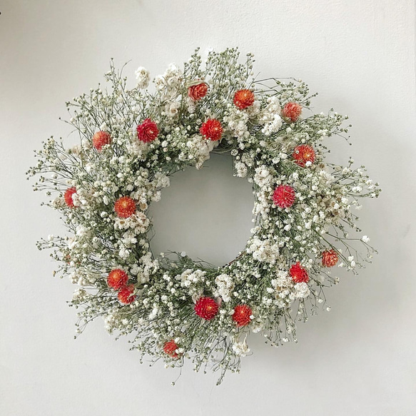 flower wreath   strawberry   苺のリース かすみ草 ドライフラワー リース