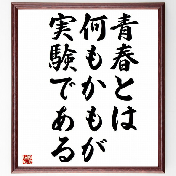 名言「青春とは、何もかもが、実験である」額付き書道色紙／受注後直筆(Y3692)