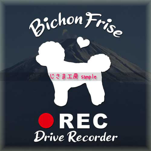 わんちゃんの可愛いドラレコステッカー!!『DRIVE　RECORDER』