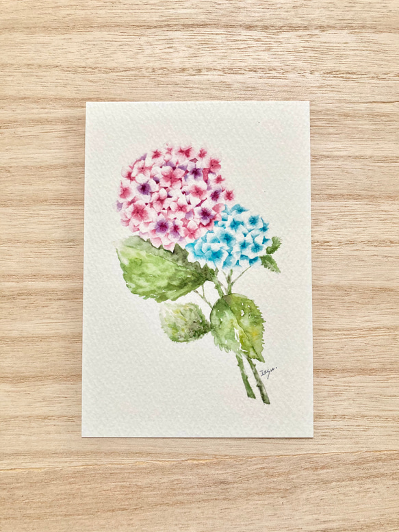 3枚セット「紫陽花」水彩画イラストポストカード　アジサイ　あじさい　花　メッセージカード　母の日　母の日カード