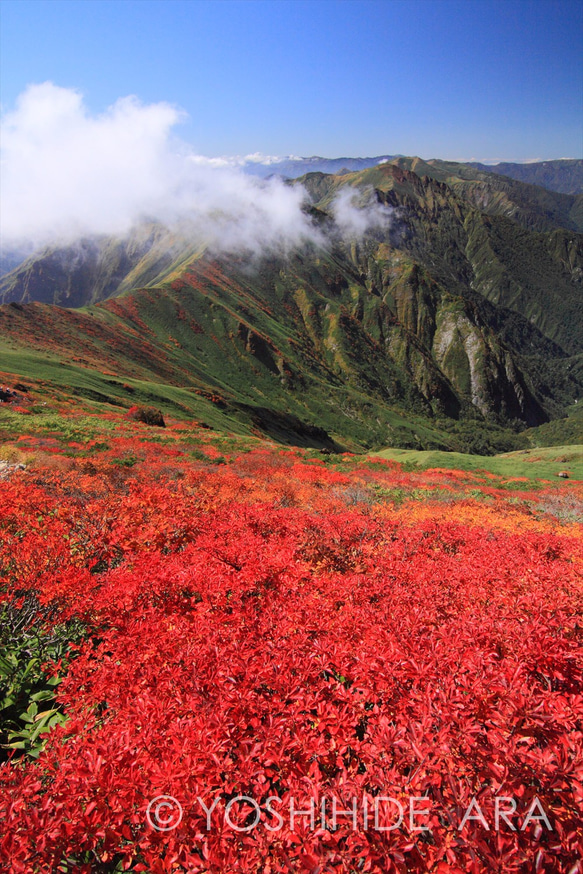 【額装写真】谷川岳の紅葉と続く稜線