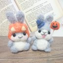 うさぎのみるくくんとそらくん????ハロウィン