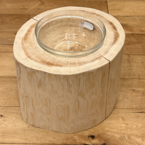 【Pet Table Hinoki】  No.655