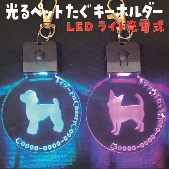 めっちゃカッコイイ！ ✨光る✨ペットたぐ キーホルダー 迷子札 犬 猫 犬首輪 LEDライト充電式