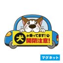 【マグネット】車に乗った犬の注意喚起『開閉注意！』犬のぽんちゃんデザイン(１)青