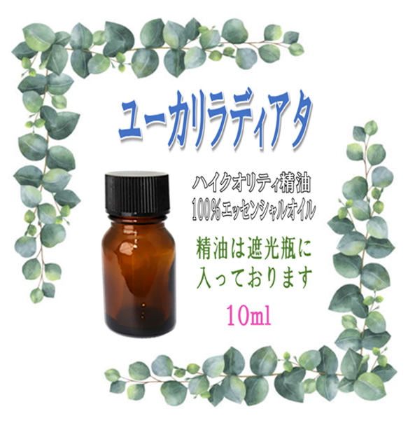 【セール】高品質精油・100％ピュアエッセンシャルオイル「ユーカリラディアタ」10ml　※感染症＆インフルエンザ対策に！