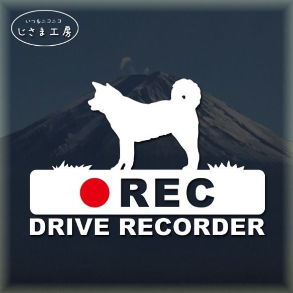 秋田犬の白シルエットステッカー後方注意!!『DRIVE　RECORDER』