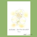 11月19日誕生花カード（花言葉つき）点描画