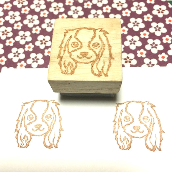 ◎ワンコはんこ【キャバリアキング】2.5×2.5㎝