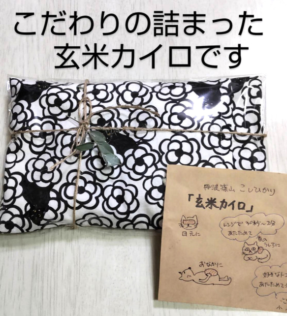 ほんわカイロ(中)♡丹波篠山 こしひかり   玄米　約600g　※ぬか無し