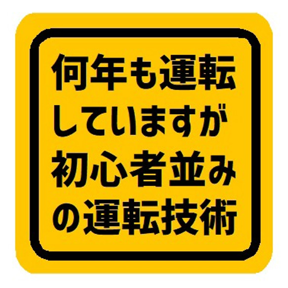 何年も運転してますが初心者並みの運転技術 カー マグネットステッカー