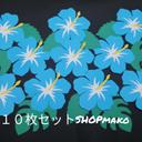 ハイビスカス 壁飾り季節の花　#SHOPmako イベント