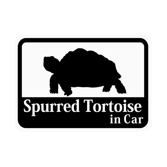 Spurred Tortoise「ケヅメリクガメ」 車用ステッカー (マグネット)