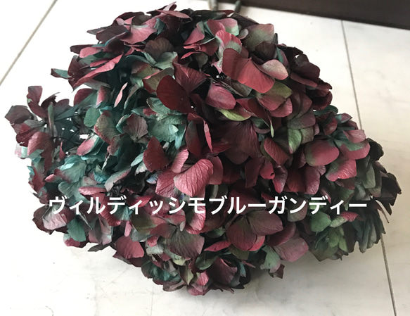 凄く希少色初入荷❣️ハーバリウムアクセサリー花材プリザーブドフラワー紫陽花アジサイ