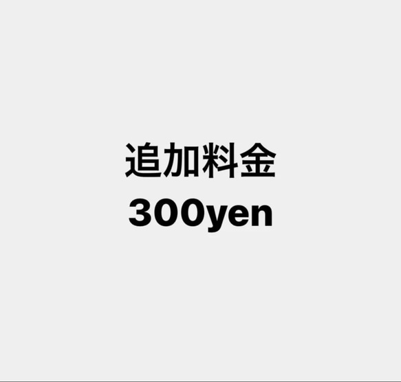 追加料金300円