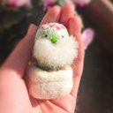 ひげサボテン/ピンクの花、白い植木鉢/羊毛フェルト