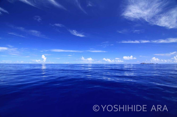 【額装写真】Bonin Blue（ボニンブルー）＜世界遺産 小笠原諸島＞