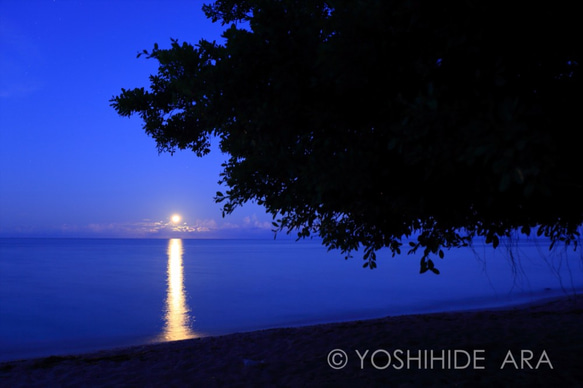 【額装写真】月の入りと夜明け前の空