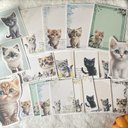 22 こねこ メモセット メモ  紙モノ おすそ分けファイル　セット