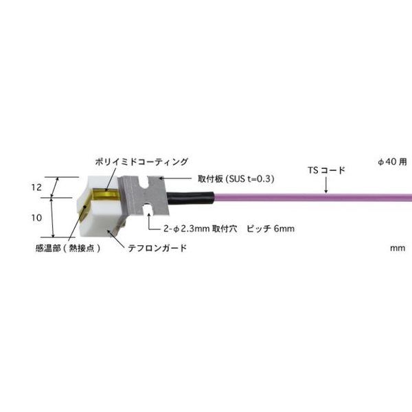 SH-24K-TS1-ASP（直送品）