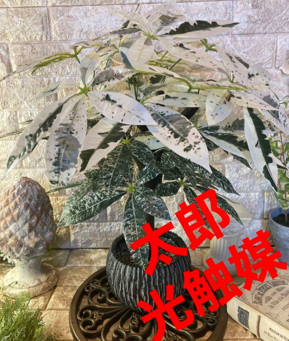 光触媒　人工観葉植物　ウォールグリーン　フェイクグリーン　斑入りパキラ55555