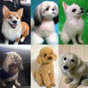 愛犬さんのオーダーメイド　　羊毛フェルト　お座り高さ約20センチ　《植毛あり》　ご購入前にまずはメッセージよりご連絡下さい????