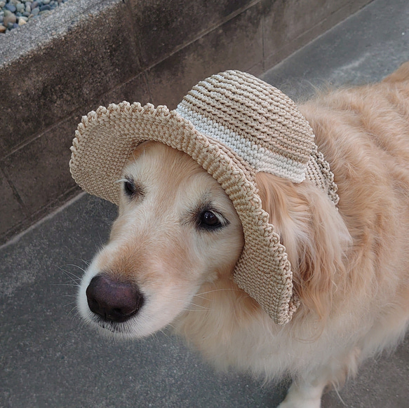 大型犬の帽子 麦わら帽子風☆コーンシルク