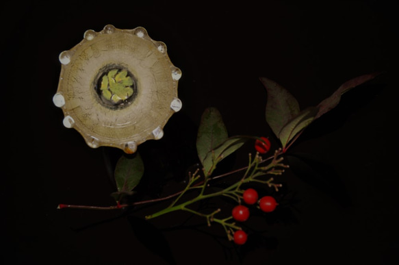 新春を告げる花　雪割草の豆鉢