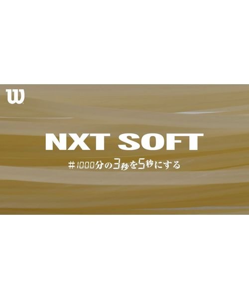 NXT SOFT