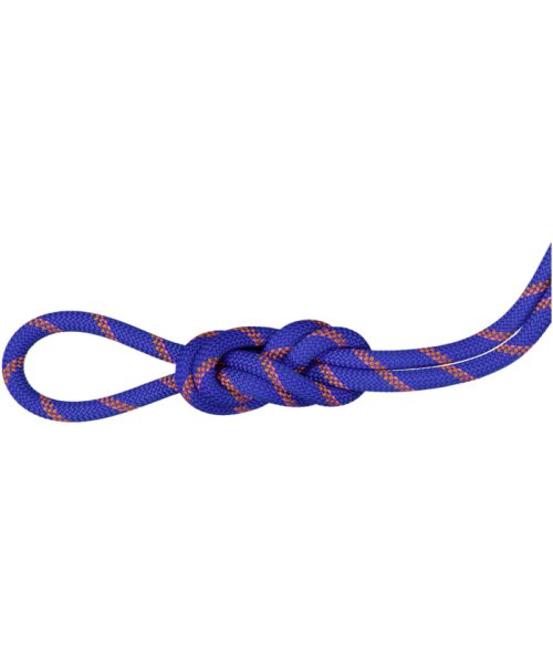 MAMMUT マムート アウトドア 9．0 Alpine Sender Dry Rope Climbing Gear ／ Mountain