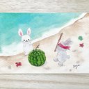 透明水彩画「うさぎちゃんのスイカ割り」イラストポストカード2枚セット 絵ハガキ　海　ウサギ　兎　暑中見舞い　残暑見舞い　夏　お中元　カニ　貝殻