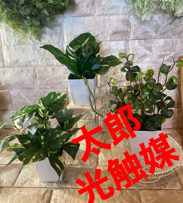 光触媒　人工観葉植物　ウォールグリーン　フェイクグリーン　3種白プラajmd