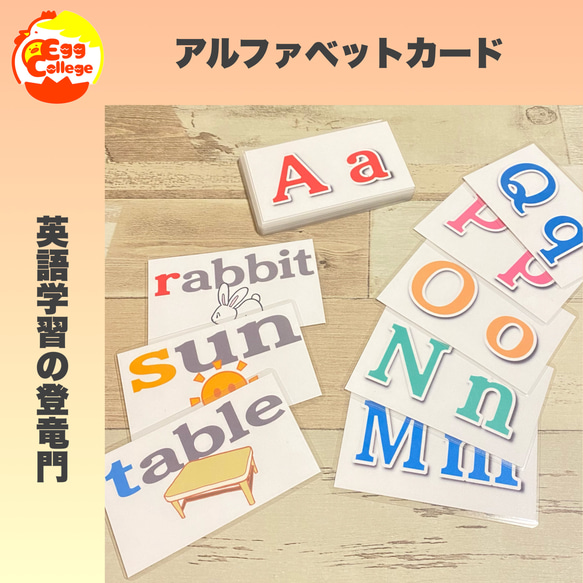 知育教材　アルファベットカード　知育玩具　幼児教育　英語初学者　幼稚園　保育園　英語　小学受験　テスト　フラッシュカード