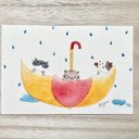 ☔️透明水彩画「楽しい雨の日」イラストポストカード2枚セット 猫 ねこ　ネコ　キジネコ　トラネコ　三毛猫　ハチワレ　傘　メッセージカード　父の日　母の日　梅雨☔️