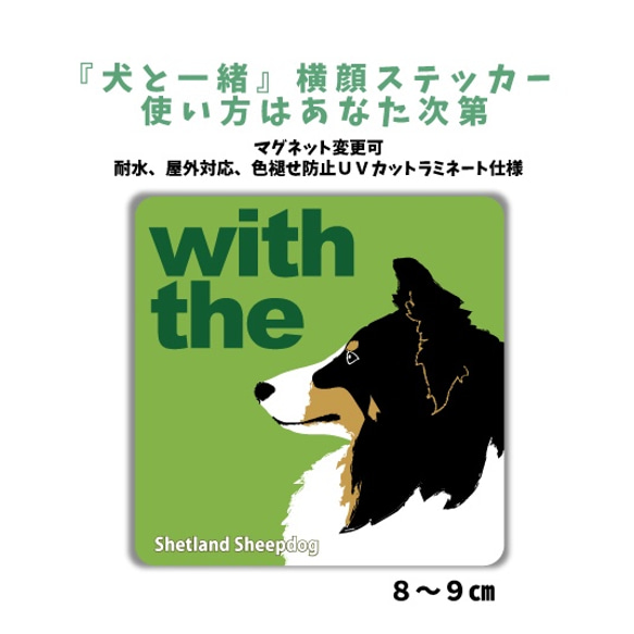 シェルティ トライカラー DOG IN CAR 横顔ステッカー 車 玄関 名入れ セミオーダー『犬と一緒』