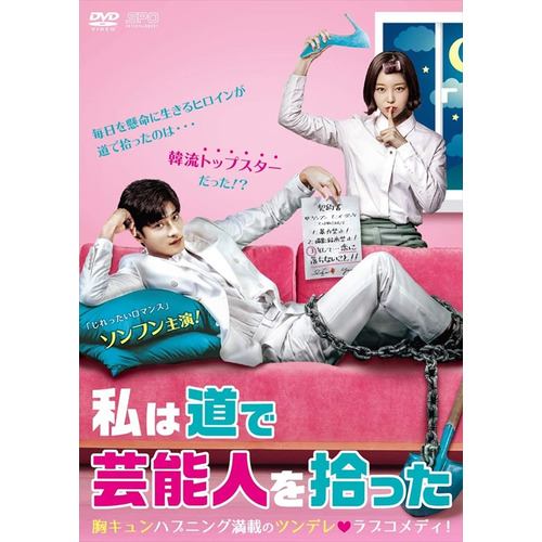 【DVD】私は道で芸能人を拾った DVD-BOX1