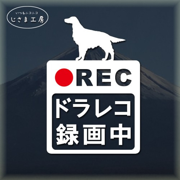 アイリッシュセッターの白色シルエットステッカー危険運転防止!!ドライブレコーダー録画中